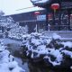 袁綯